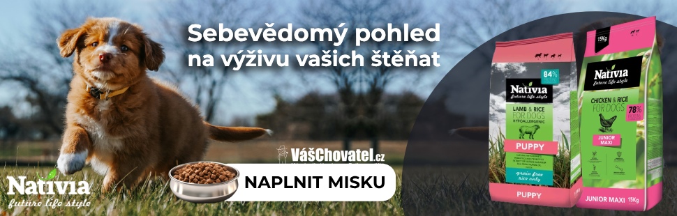 banner - nativia puppy a junior - krmiva pro stenata a mlade psy
