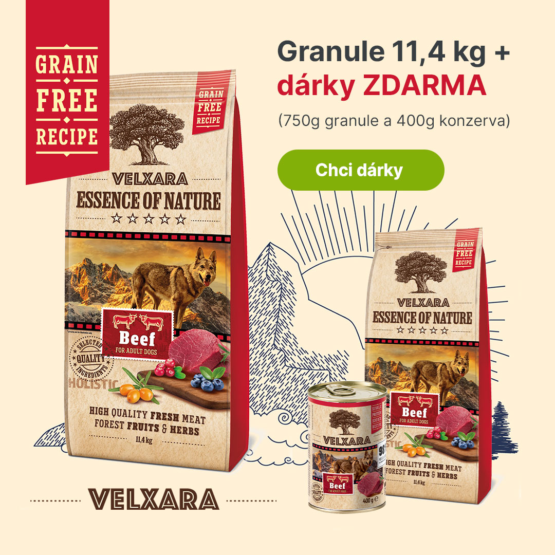 banner - akce VELXARA S DÁRKY ZDARMA