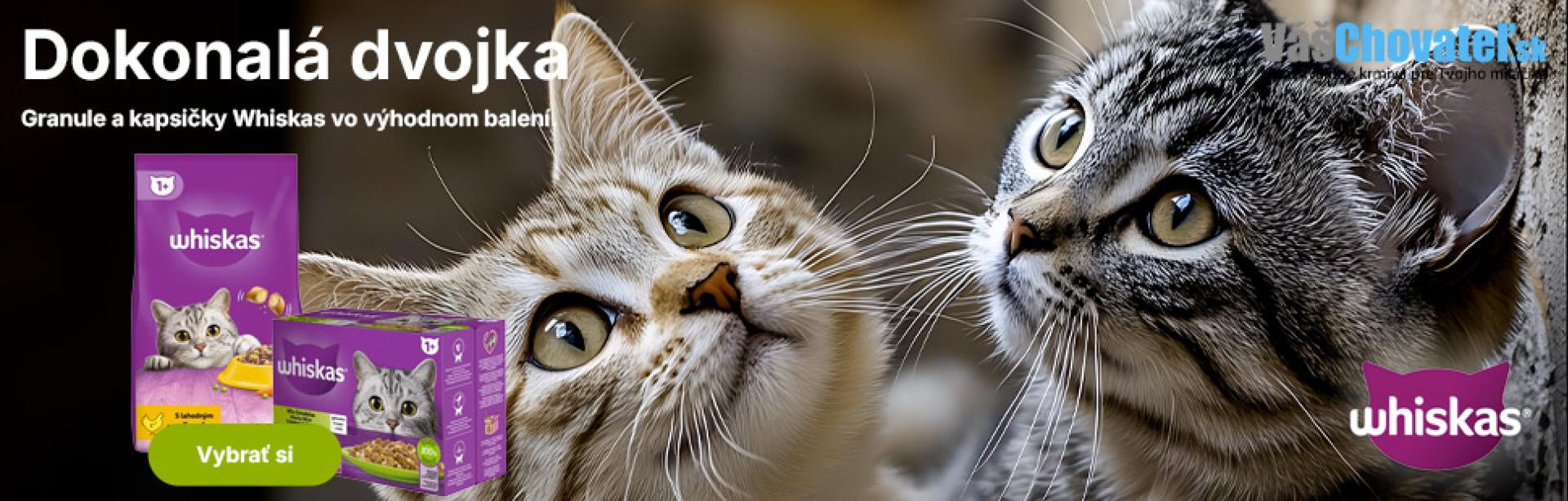 banner - whiskas