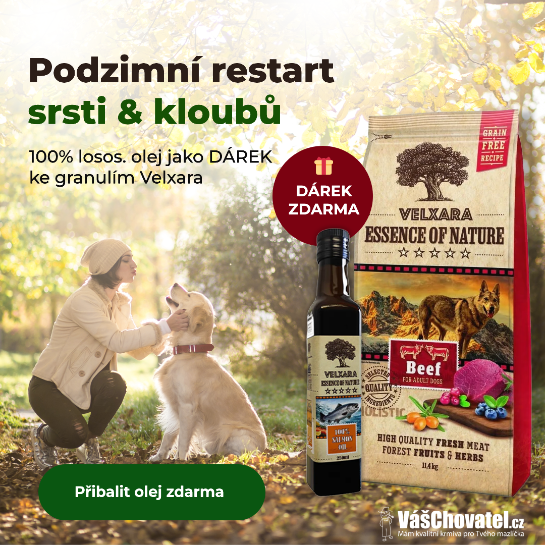 akce - banner na granule Velxara s lososovým olejem jako dárek ZDARMA